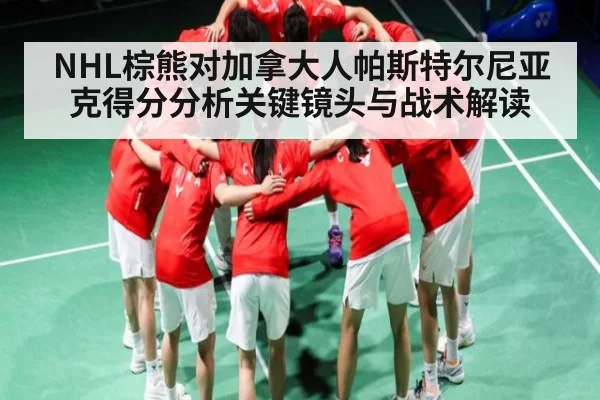NHL棕熊对加拿大人帕斯特尔尼亚克得分分析关键镜头与战术解读